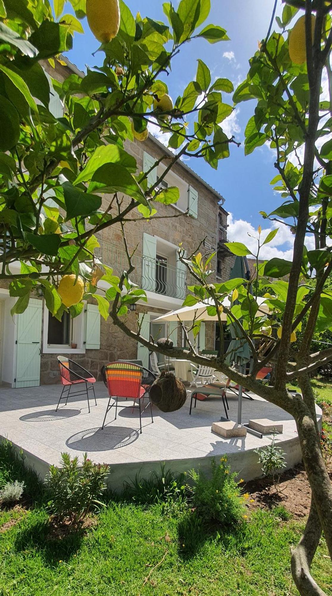 Charmant Appartement En Rez De Jardin Sartene  Exterior photo